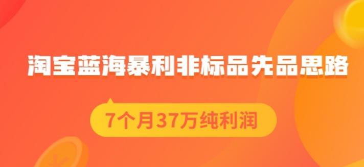 盗坤淘宝蓝海暴利非标品先品思路，7个月37万纯利润，压箱干货分享！【付费文章】-九章网创