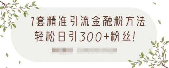 1套精准引流金融粉方法，轻松日引300 粉丝【视频课程】-九章网创