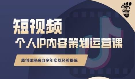 抖音短视频个人ip内容策划实操课，真正做到普通人也能实行落地-九章网创