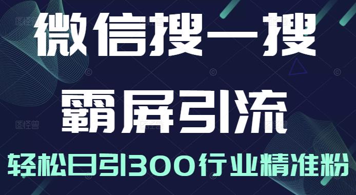 微信搜一搜霸屏引流课，打造被动精准引流系统，轻松日引300行业精准粉【无水印】-九章网创