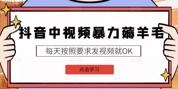 2022抖音中视频暴力薅羊毛白嫖项目：新号每天20块，老号几天几百块，可多号-九章网创