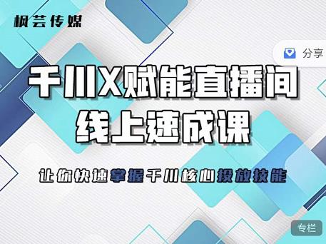 枫芸传媒-线上千川提升课，提升千川认知，提升千川投放效果-九章网创