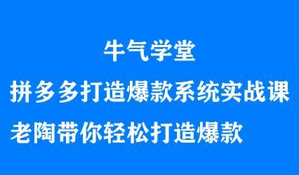 牛气学堂拼多多打造爆款系统实战课，老陶带你轻松打造爆款-九章网创