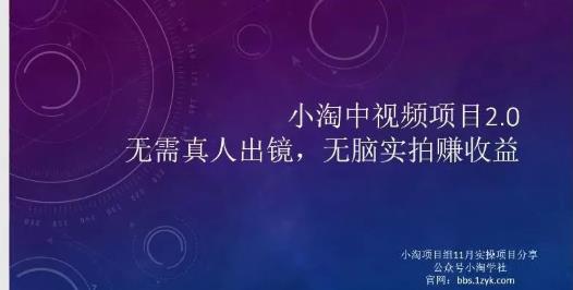 小淘项目组网赚永久会员，绝对是具有实操价值的，适合有项目做需要流程【持续更新】-九章网创