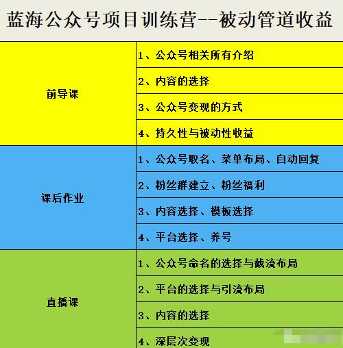 米辣微课·蓝海公众号项目训练营，手把手教你实操运营公众号和小程序变现-九章网创