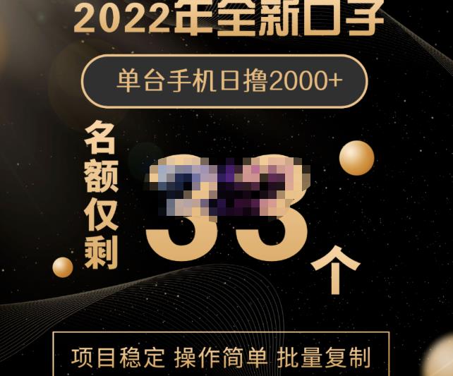 2022年全新口子，手机批量搬砖玩法，一部手机日撸2000-九章网创