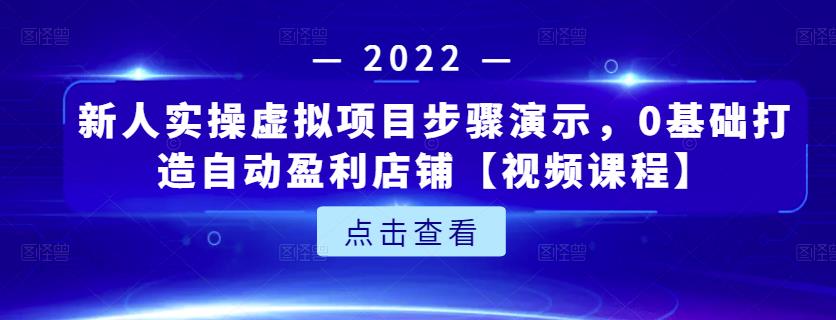 新人实操虚拟项目步骤演示，0基础打造自动盈利店铺【视频课程】-九章网创