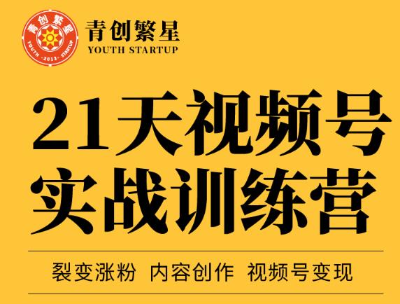 张萌21天视频号实战训练营，裂变涨粉、内容创作、视频号变现 价值298元-九章网创