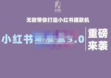 谢无敌·小红书实战营3.0，无敌带你打造小红书提款机 价值7999元-九章网创