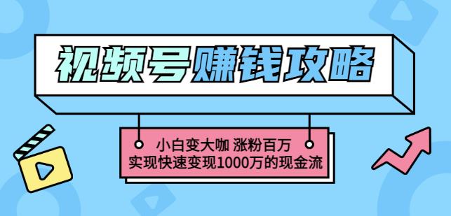 玩转微信视频号赚钱：小白变大咖涨粉百万实现快速变现1000万的现金流-九章网创