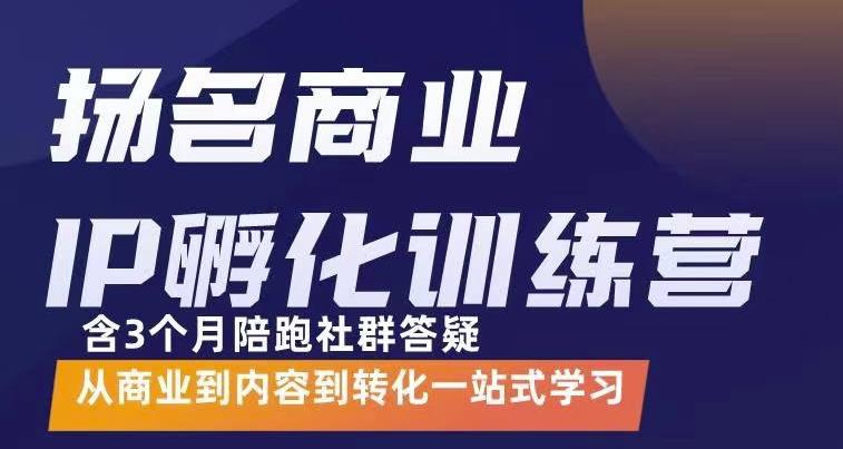 杨名商业IP孵化训练营，从商业到内容到转化一站式学 价值5980元-九章网创