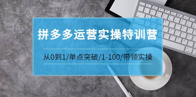 拼多多运营实操特训营：从0到1/单点突破/1-100/带领实操 价值2980元-九章网创