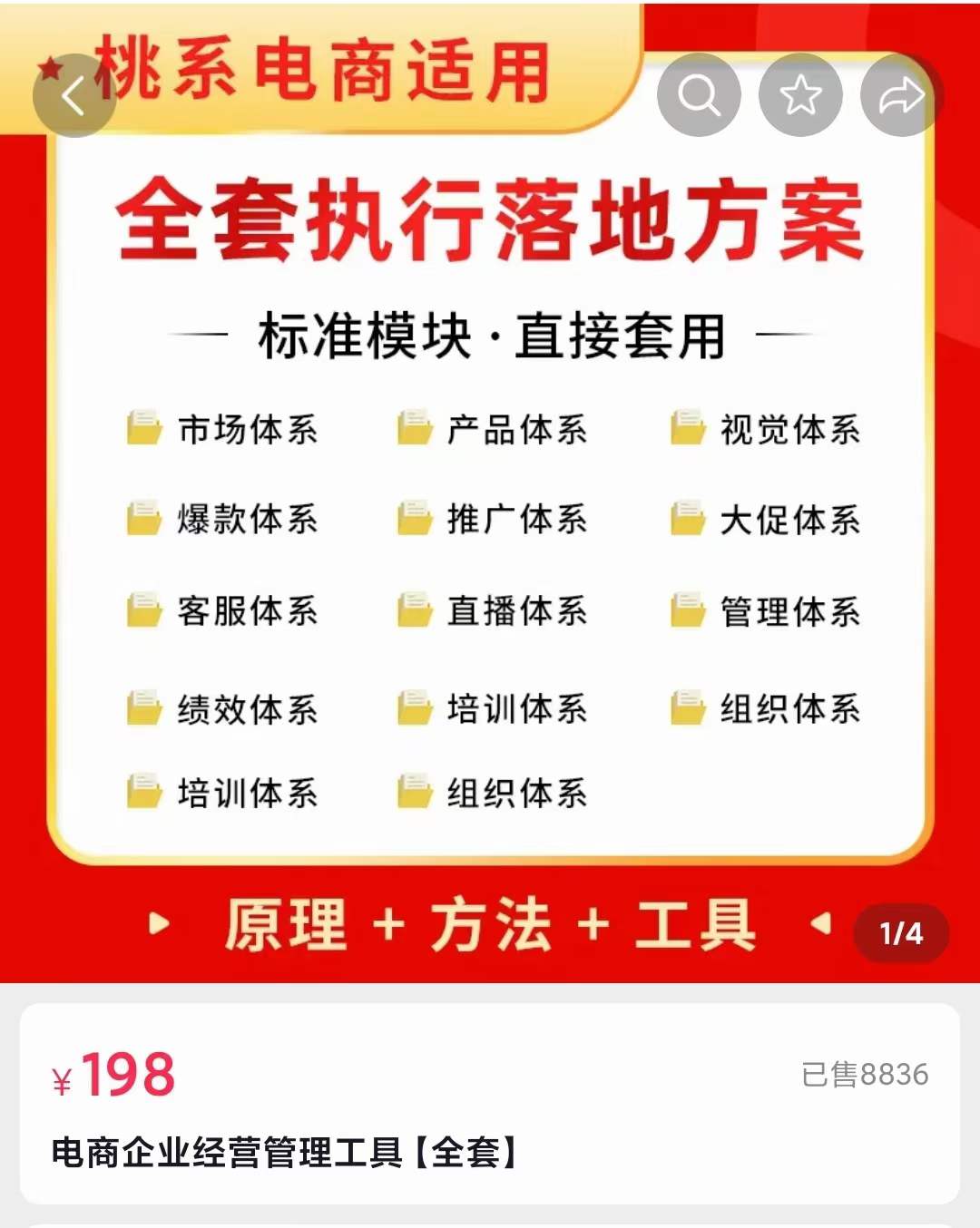 外面卖198·电商企业经营管理工具：全套执行落地方案 标准模块·直接套用-九章网创