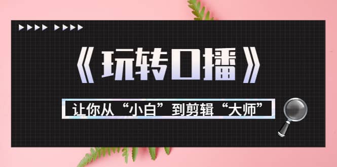 月营业额700万 大佬教您《玩转口播》让你从“小白”到剪辑“大师”-九章网创