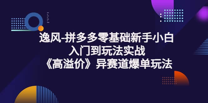 拼多多零基础新手小白入门到玩法实战《高溢价》异赛道爆单玩法实操课-九章网创