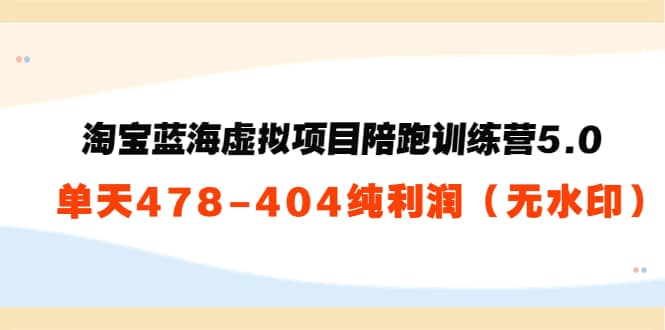 淘宝蓝海虚拟项目陪跑训练营5.0：单天478纯利润（无水印）-九章网创