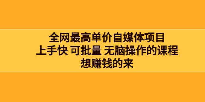 全网最单高价自媒体项目：上手快 可批量 无脑操作的课程，想赚钱的来-九章网创