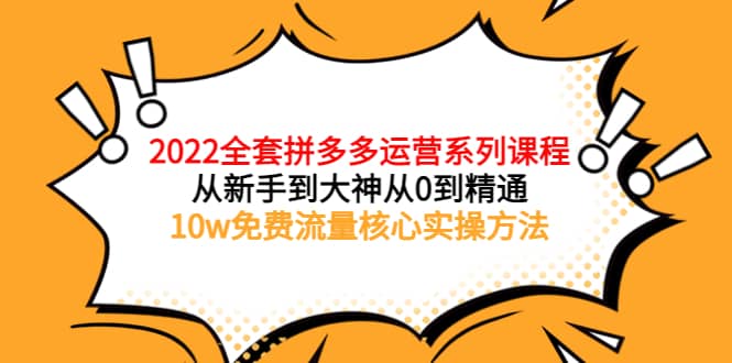 2022全套拼多多运营课程，从新手到大神从0到精通，10w免费流量核心实操方法-九章网创