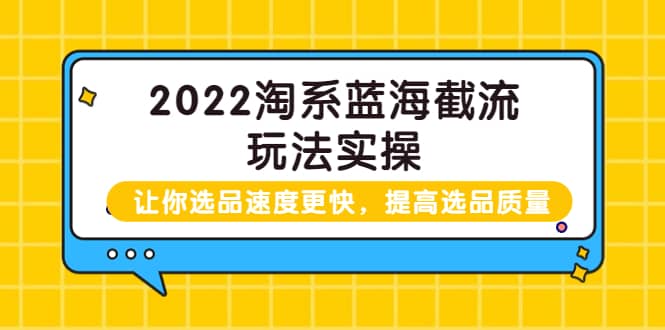 2022淘系蓝海截流玩法实操：让你选品速度更快，提高选品质量（价值599）-九章网创