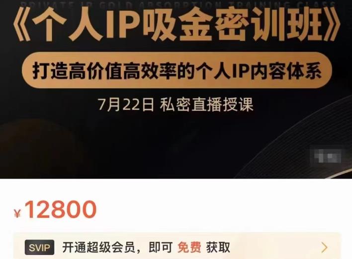 个人IP吸金密训班，打造高价值高效率的个人IP内容体系（价值12800元）-九章网创