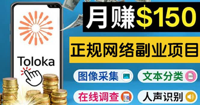 正规网络副业赚钱平台Toloka，利用业余时间月赚150美元-九章网创