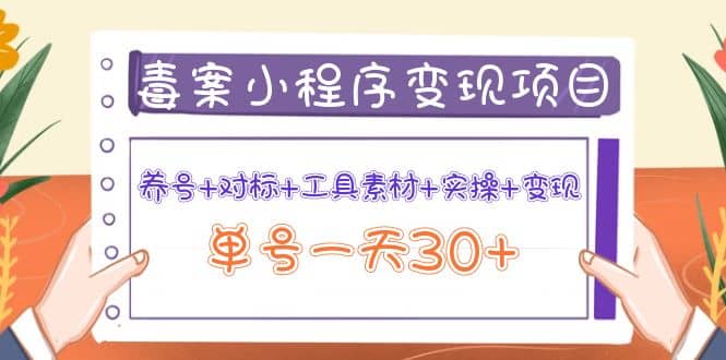 毒案小程序变现项目：养号 对标 工具素材 实操 变现-九章网创