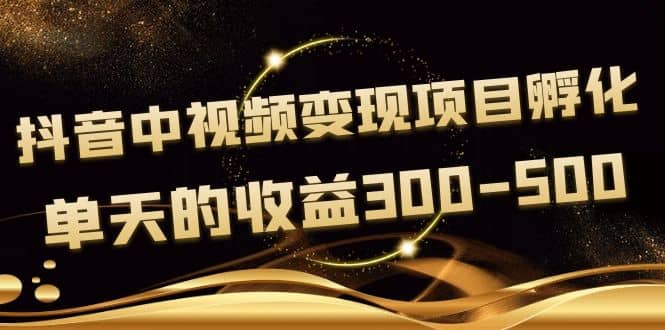 黄岛主《抖音中视频变现项目孵化》单天的收益300-500 操作简单粗暴-九章网创