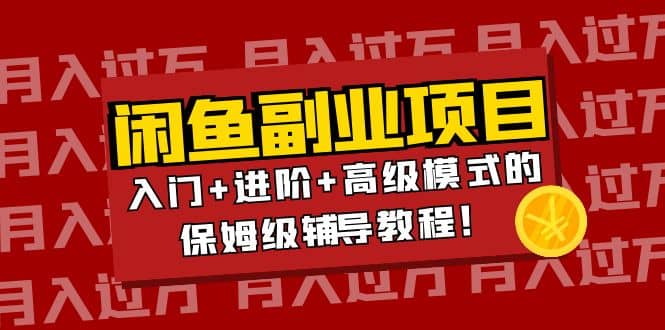 月入过万闲鱼副业项目：入门 进阶 高级模式的保姆级辅导教程-九章网创