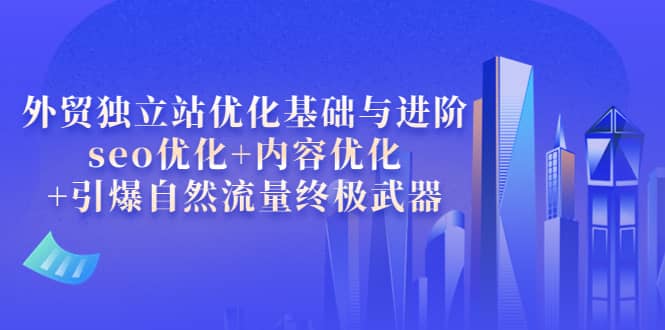 外贸独立站优化基础与进阶，seo优化 内容优化 引爆自然流量终极武器-九章网创