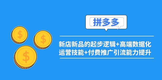 2022拼多多：新店新品的起步逻辑 高端数据化运营技能 付费推广引流能力提升-九章网创