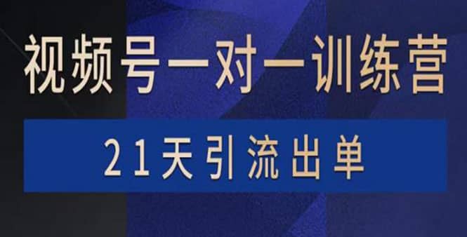 视频号训练营：带货，涨粉，直播，游戏，四大变现新方向，21天引流出单-九章网创