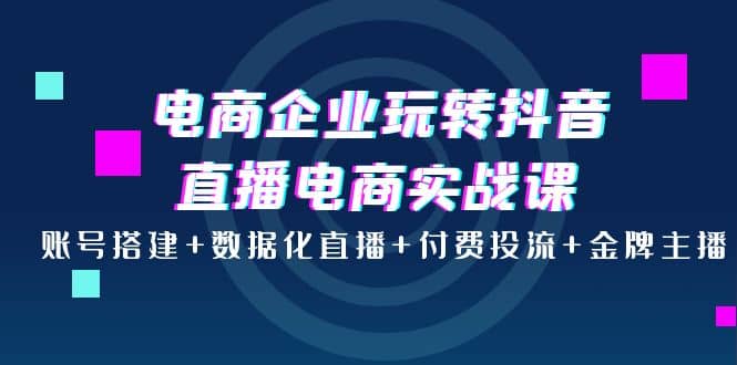 电商企业玩转抖音直播电商实战课：账号搭建 数据化直播 付费投流 金牌主播-九章网创