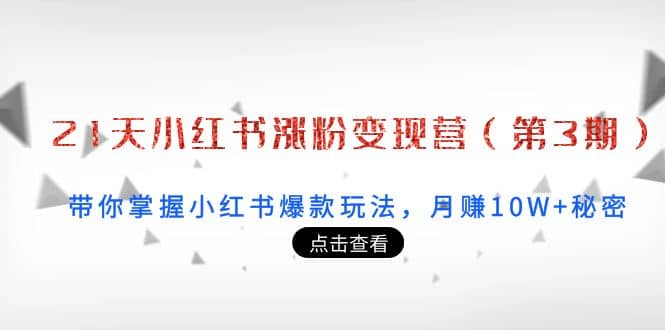 21天小红书涨粉变现营（第3期）：带你掌握小红书爆款玩法，月赚10W 秘密-九章网创