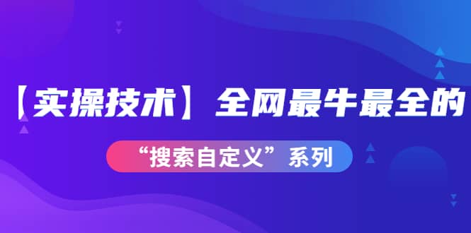 【实操技术】全网最牛最全的“搜索自定义”系列！价值698元-九章网创