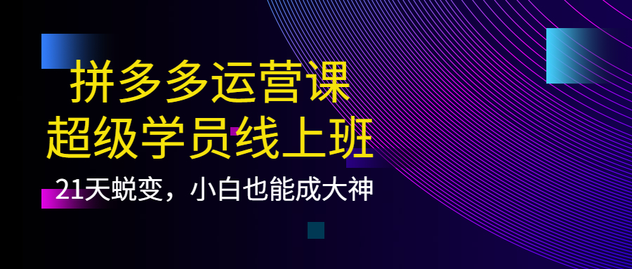 拼多多运营课：超级学员线上班，21天蜕变，小白也能成大神-九章网创