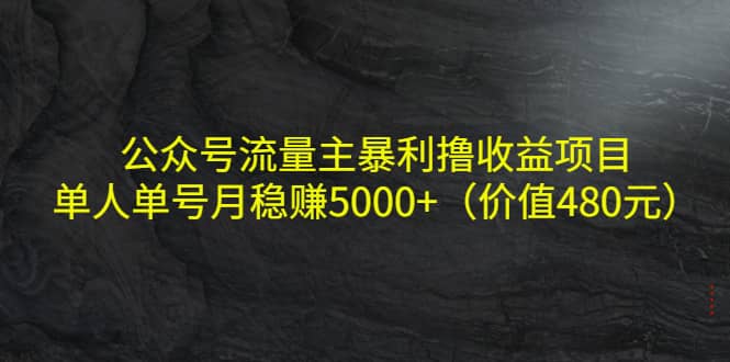 公众号流量主暴利撸收益项目，单人单号月稳赚5000 （价值480元）-九章网创