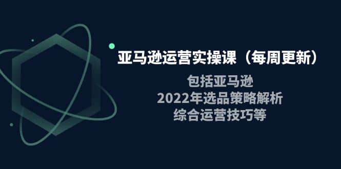 亚马逊运营实操课（每周更新）包括亚马逊2022选品策略解析，综合运营技巧等-九章网创