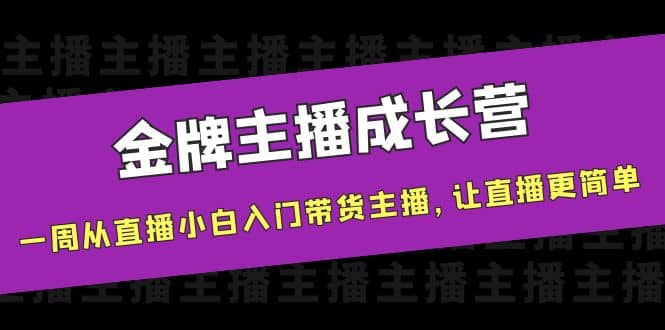 金牌主播成长营，一周从直播小白入门带货主播，让直播更简单-九章网创