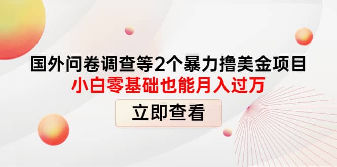 国外问卷调查等2个暴力撸美元项目，小白零基础也能月入过万-九章网创