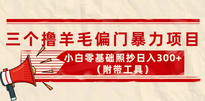 外面卖998的三个撸羊毛项目，小白零基础照抄（附带工具）-九章网创