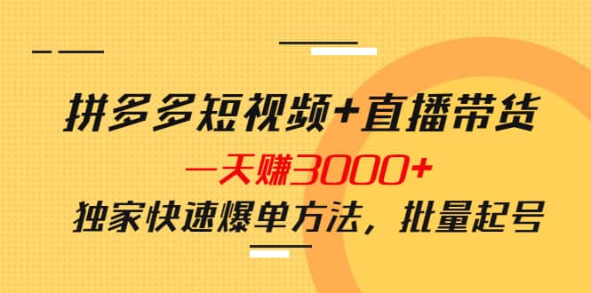 拼多多短视频 直播带货，一天赚3000 独家快速爆单方法，批量起号-九章网创