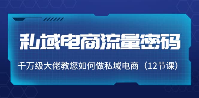 私域电商流量密码：千万级大佬教您如何做私域电商（12节课）-九章网创