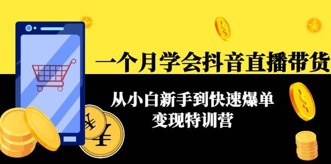 一个月学会抖音直播带货：从小白新手到快速爆单变现特训营(63节课)-九章网创