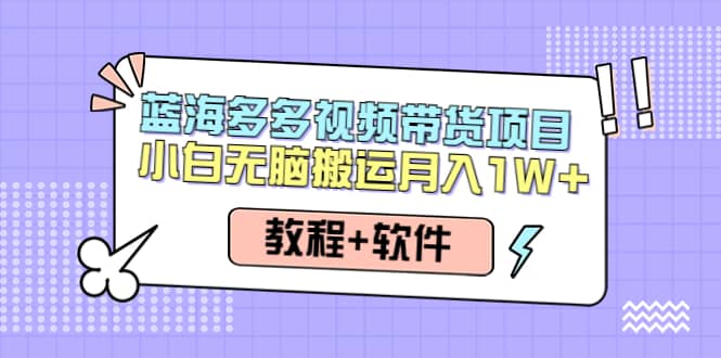 人人都能操作的蓝海多多视频带货项目 小白无脑搬运（教程 软件）-九章网创