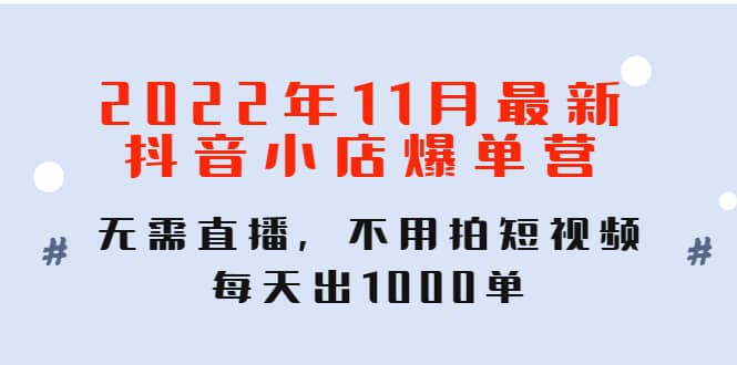 2022年11月最新抖音小店爆单训练营：无需直播，不用拍短视频，每天出1000单-九章网创