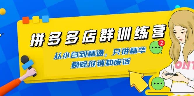 拼多多店群训练营：从小白到精通，只讲精华，剔除推销和废话-九章网创