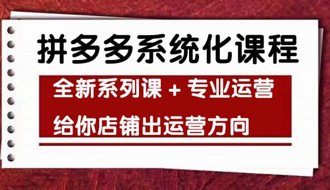 车神陪跑，拼多多系统化课程，全新系列课 专业运营给你店铺出运营方向-九章网创