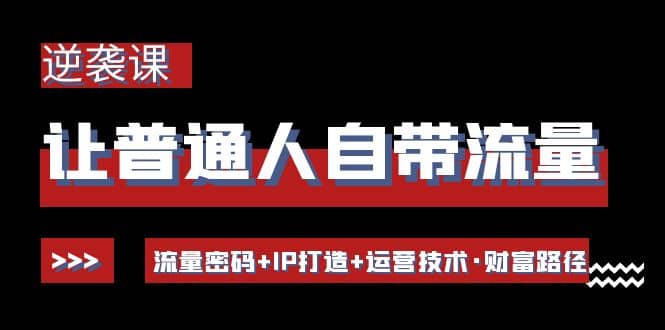 让普通人自带流量的逆袭课：流量密码 IP打造 运营技术·财富路径-九章网创