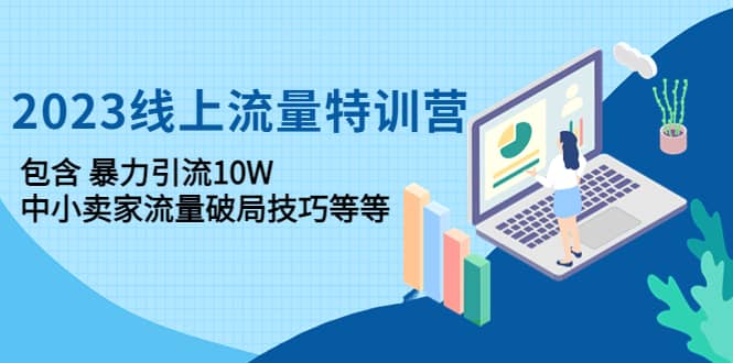 2023线上流量特训营：中小卖家流量破局技巧等等-九章网创