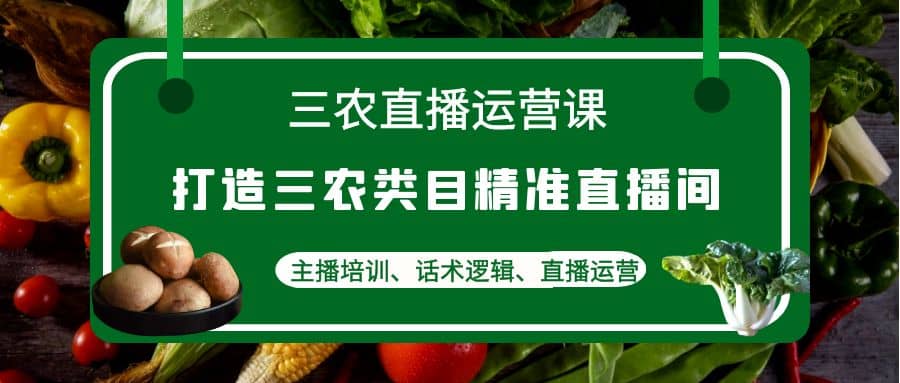 三农直播运营课：打造三农类目精准直播间，主播培训、话术逻辑、直播运营-九章网创